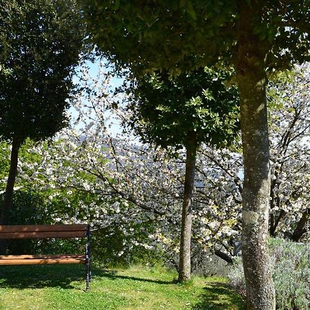 Monte A Pescia Villa Dış mekan fotoğraf