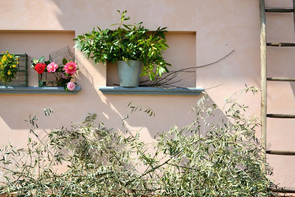 Monte A Pescia Villa Dış mekan fotoğraf