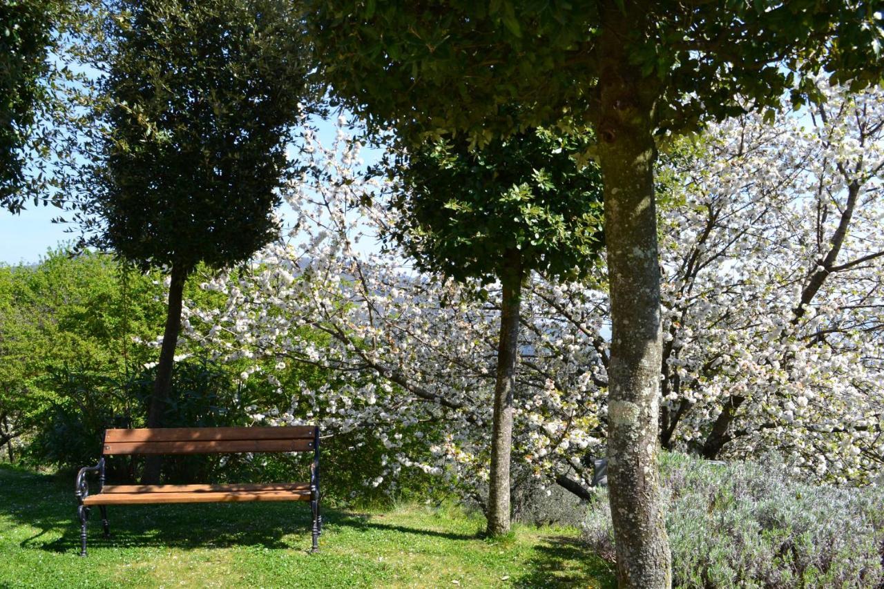 Monte A Pescia Villa Dış mekan fotoğraf